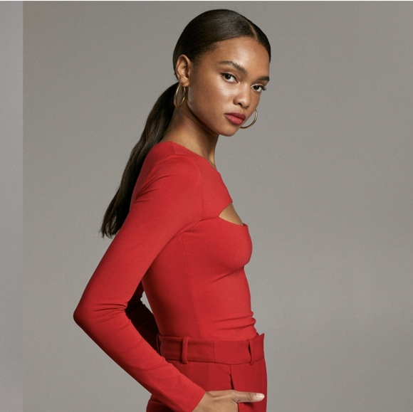 Aritzia Babaton long sleeve cut out Top. - Picture 4 of 6